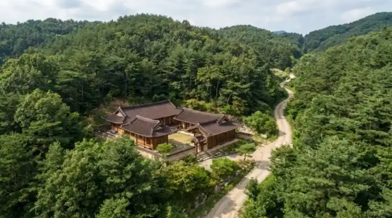 산속 집짓기 가능할까? 임야→대지 전환 현실 가이드